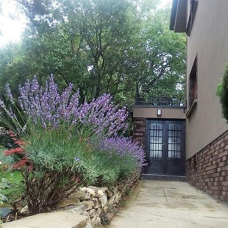 Apartman V Zahrade Praha Troja - Apartment In The Garden Prague Troja Exterior photo